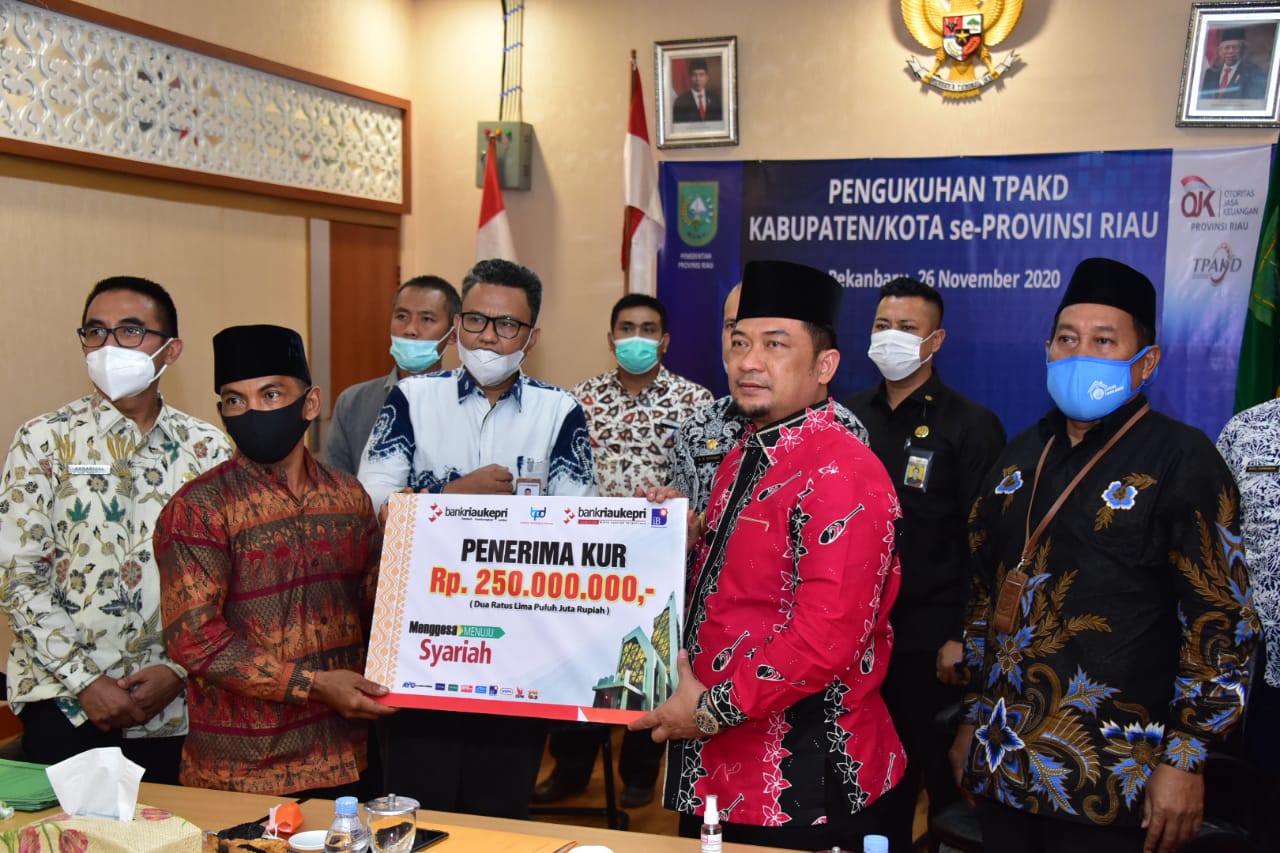 Pengukuhan TPAKD Kabupaten/Kota Se-Provinsi Riau Secara Virtual