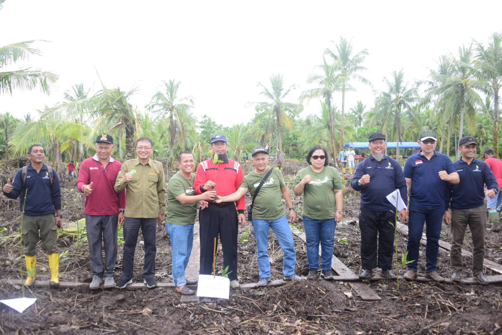 Bupati Bengkalis Lakukan Penanaman Pohon Mangrove Bersama Kagama Dan ...